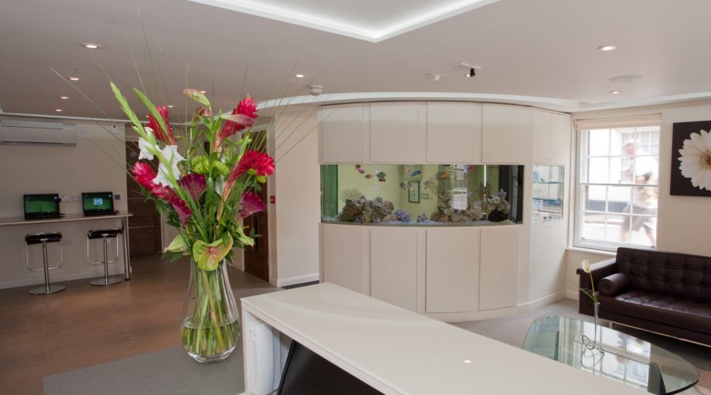 pippa_20100605_9318 practice gallery, Practice Gallery