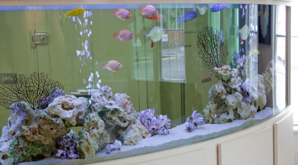 pippa_20100605_9586 practice gallery, Practice Gallery